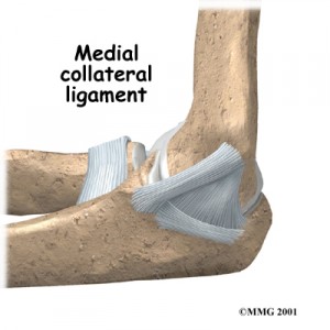 an elbow joint